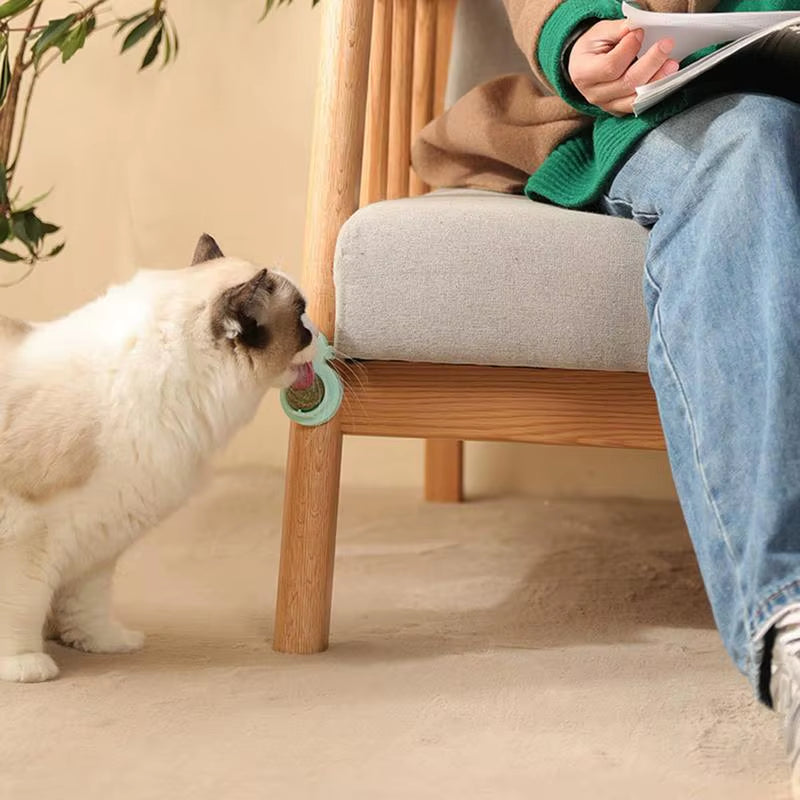 Catnip Ball Toy Edible Lick Balls for Indoor Cats Interactive Toy Rotatable Catnip Wall Treat for Cats Kittens Playing Chasing