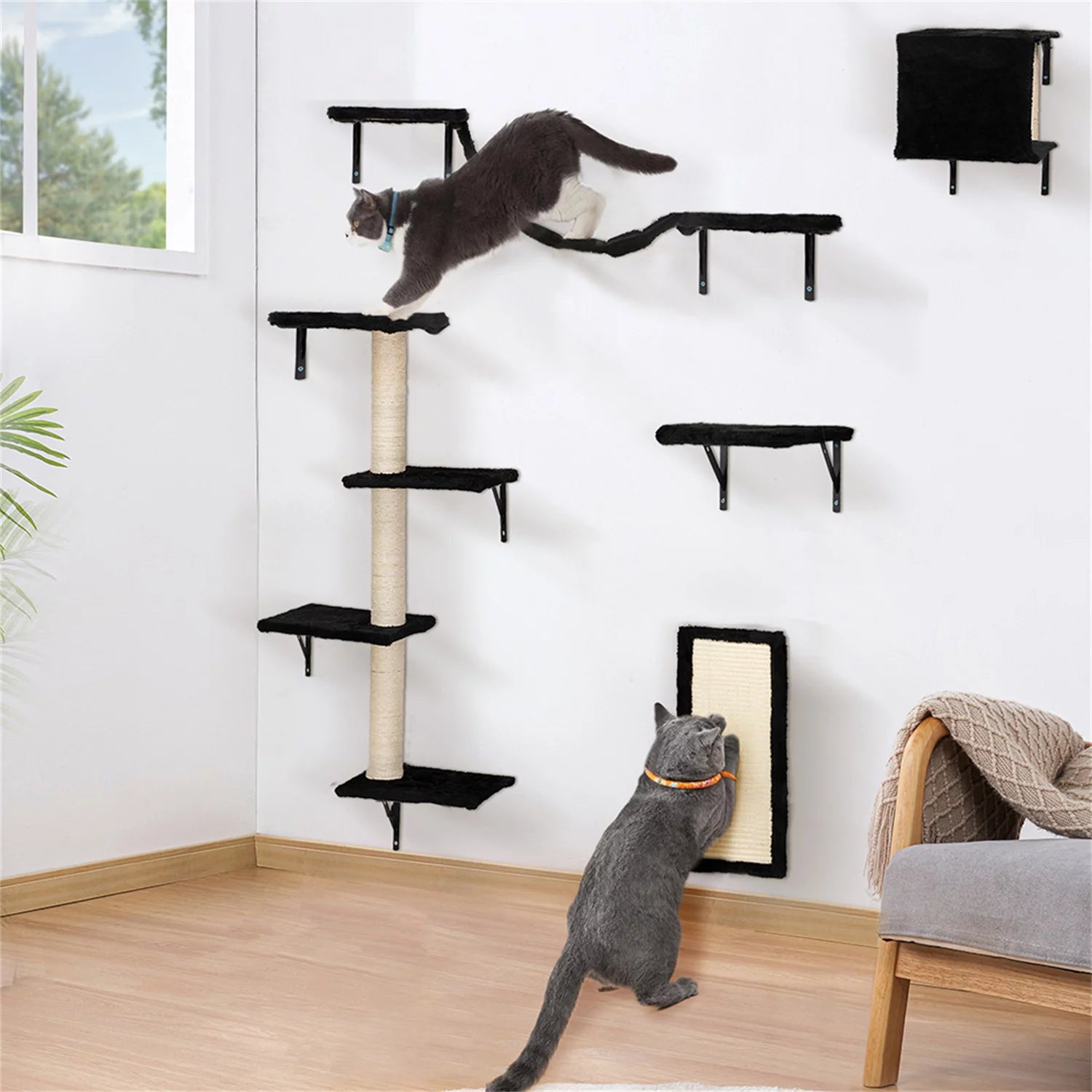 Cat Wall Shelves and Perches Set of 5, Sleeping Playing Lounging Climbing Cat Tree House for Multiple Cats, Black