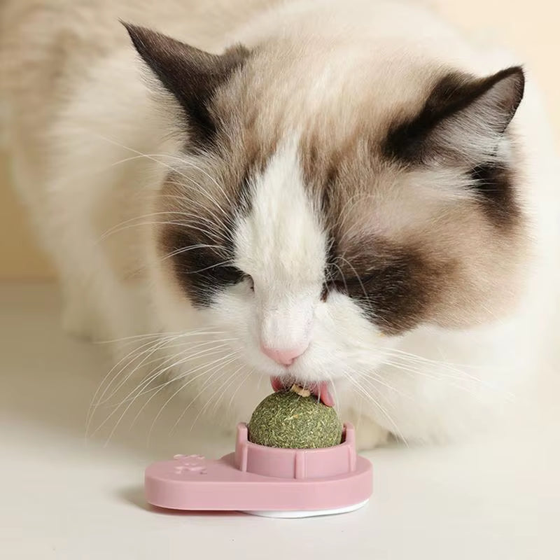 Catnip Ball Toy Edible Lick Balls for Indoor Cats Interactive Toy Rotatable Catnip Wall Treat for Cats Kittens Playing Chasing