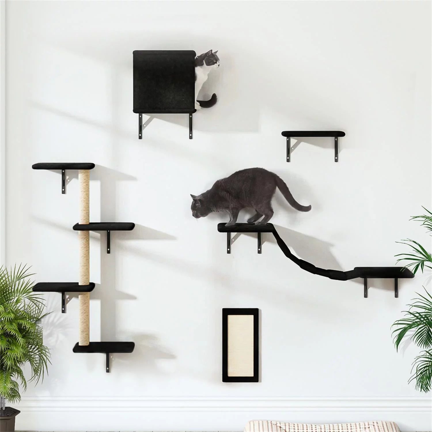 Cat Wall Shelves and Perches Set of 5, Sleeping Playing Lounging Climbing Cat Tree House for Multiple Cats, Black