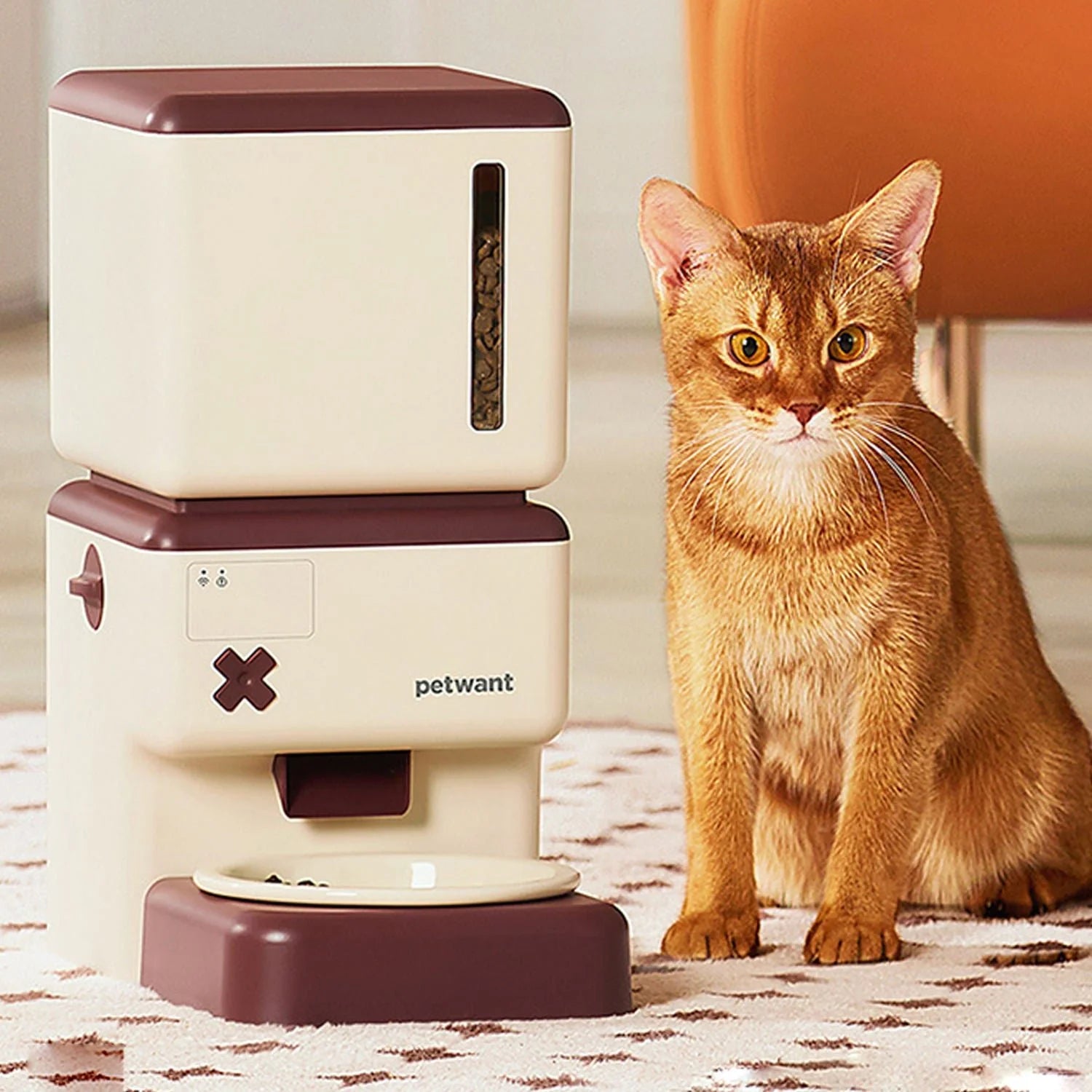HEYBO Automatic Cat Feeder Smart Dog Feeder