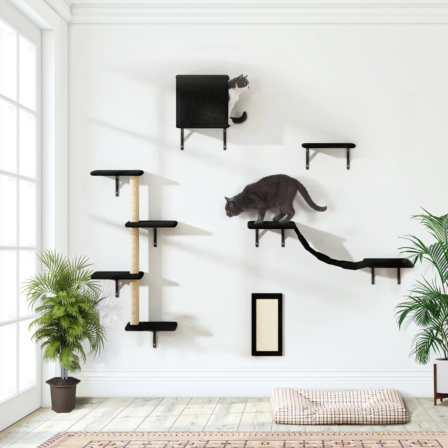 Cat Wall Shelves and Perches Set of 5, Sleeping Playing Lounging Climbing Cat Tree House for Multiple Cats, Black