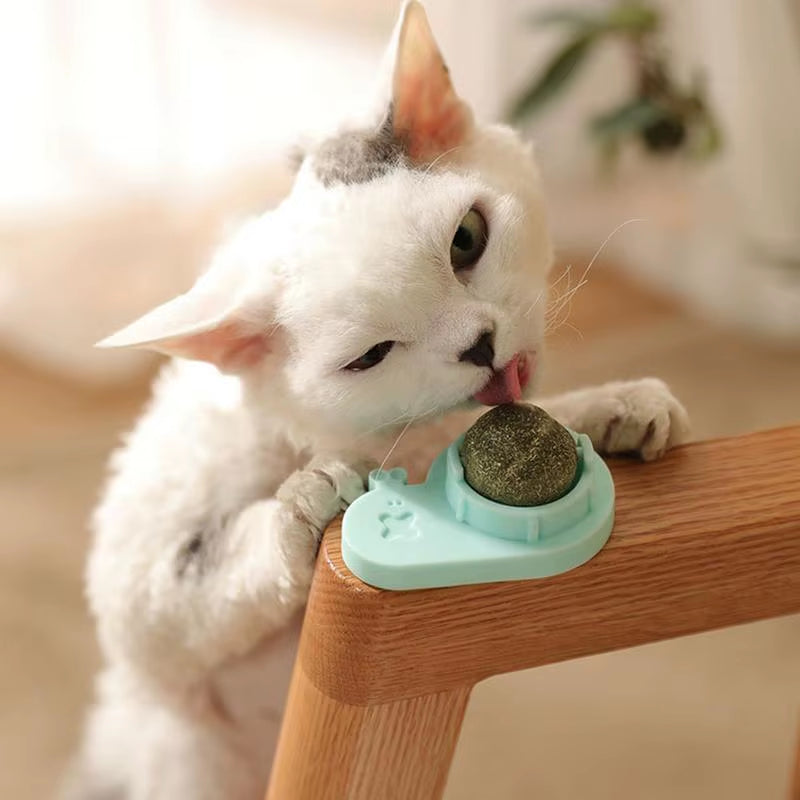 Catnip Ball Toy Edible Lick Balls for Indoor Cats Interactive Toy Rotatable Catnip Wall Treat for Cats Kittens Playing Chasing